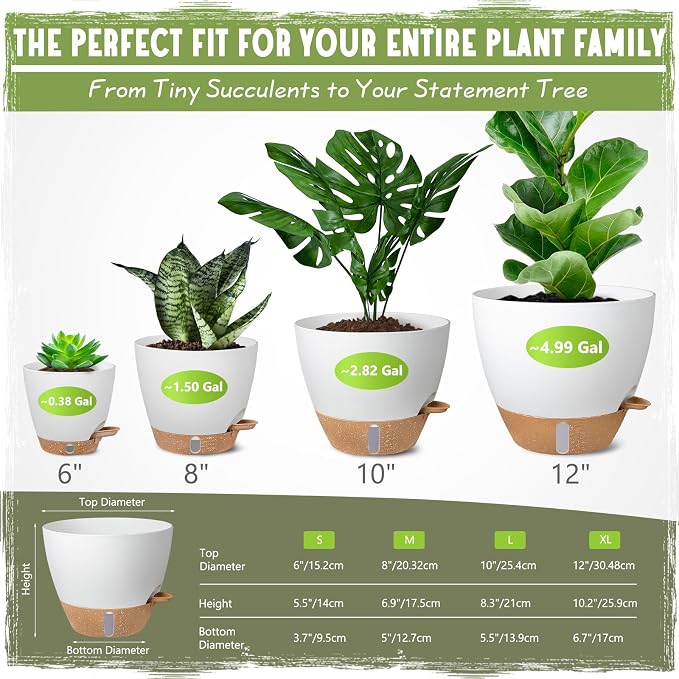 Self-Watering Pots for Indoor and Outdoor Plants 4 Pack, 6/8/10/12 Inch Planters with Water Level Indicator & Deep Reservoir, Decorative Flower Pots for Home Decor