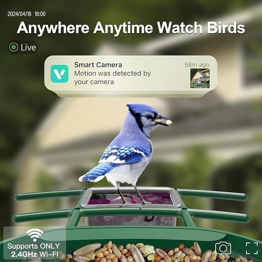 Bird Feeder with Camera Solar Powered : Smart Camera Bird Feeder 2K Live Feed Cam for Backyard - AI Identify Auto Capture Videos Pictures, Gifts for Birdlover Mom Dad, 2.4GHz WiFi