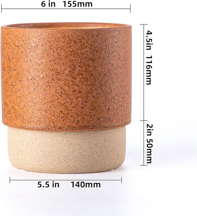 6 Inch Ceramic Self Watering Planter with Drainage Hole Terracotta | Indoor Plant Pot with Water Storage Plus - for African Violet, Herbs & Pothos - Home & Office Decor, Cylinder Round