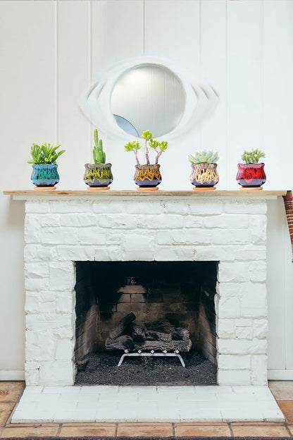 Cute Ceramic Succulent Garden Pots, Planter with Drainage and Attached Saucer, Set of 5 -Plants Not Included (Fambe)
