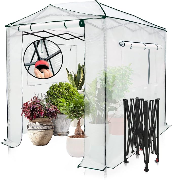 EAGLE PEAK 8x6 Portable Walk in Greenhouse, Pop Up Indoor Outdoor Greenhouse, Green House Kit with Zippered Roll-Up Doors and Windows, PE Cover, Clear/White