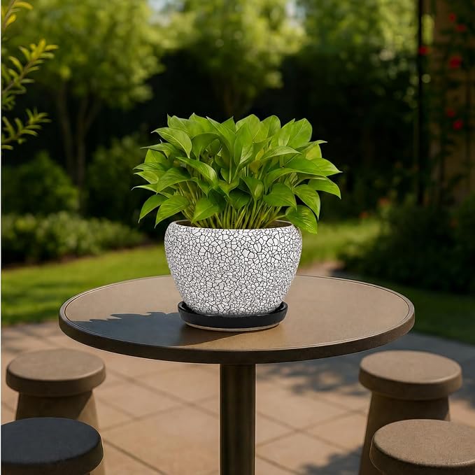 Deep Dream 6 Inch Plant Pots- Ceramic Planter Pot with Drainage Hole and Saucer, Round Flower Pot for Indoor Outdoor Succulent, Snake Plants and Cactus, Wood Crack Black