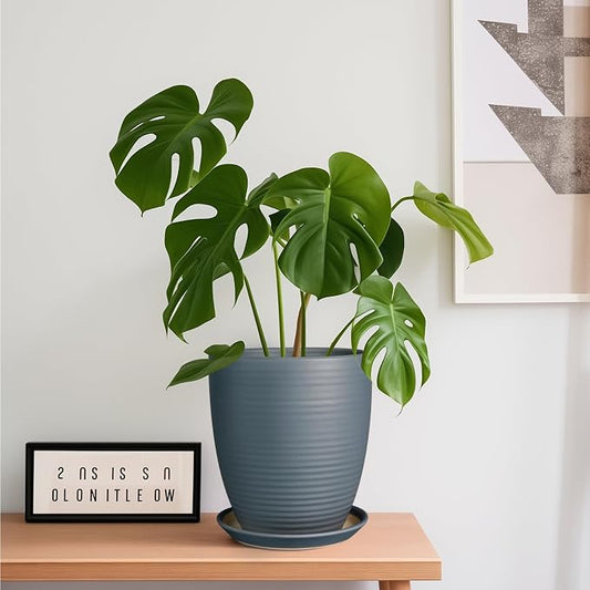 8 Inch Ceramic Plant Pot Large Planter Pot for Plants Indoor Outdoor Glaze Flower Pot with Drainage Hole and Saucer Gray