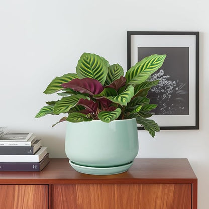 G EPGardening Ceramic Plant Pots - 6 Inch Pot for Plants, Ceramic Planter with Drainage and Saucer, Flower Indoor Outdoor Planter, Modern Bathroom Decor, Birthday Gifts, Green