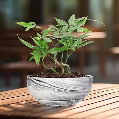 G EPGardening Bonsai Pots, 8 Inch Marble Pattern Ceramic Succulent Pot with Drainage Hole and Plant Saucer, Large Round Planter for Indoor Outdoor Plants, Modern Flower Pot, Plants Lovers Gifts, Grey