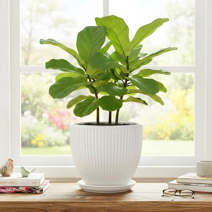 8 Inch Plant Pot, Ceramic Planters for Indoor Plants, Round Pots for Plants with Drainage Hole and Saucer, Modern Decorative Flower Pots, Office Bedroom Decor, Gifts for Plant Lovers, White