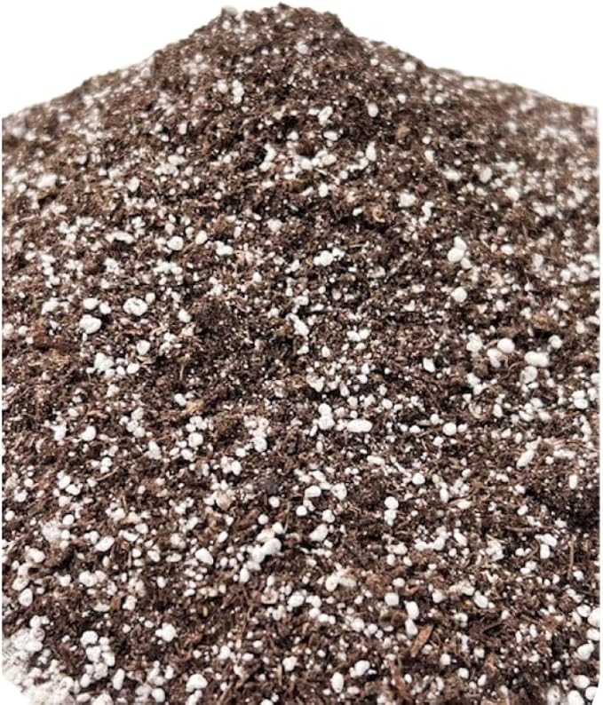 SunGro Horticulture Seedling Mix - Organic Seed Starting Mix - 8 Quart - Lime, Perlite, Sphagnum Peat Moss
