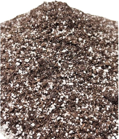 SunGro Horticulture Seedling Mix - Organic Seed Starting Mix - 8 Quart - Lime, Perlite, Sphagnum Peat Moss