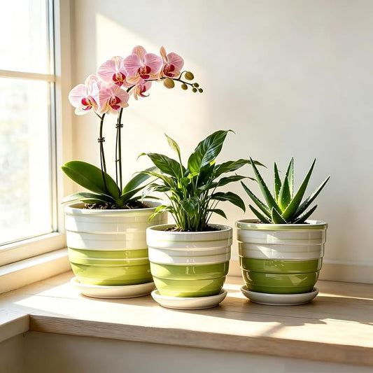 Vintage Flower Pots for Indoor Plant, Round Ceramic Plant Pots with Drainage Holes and Saucers, 6.7/5.2/3.9 Inches Retro Flower Planters Set of 3