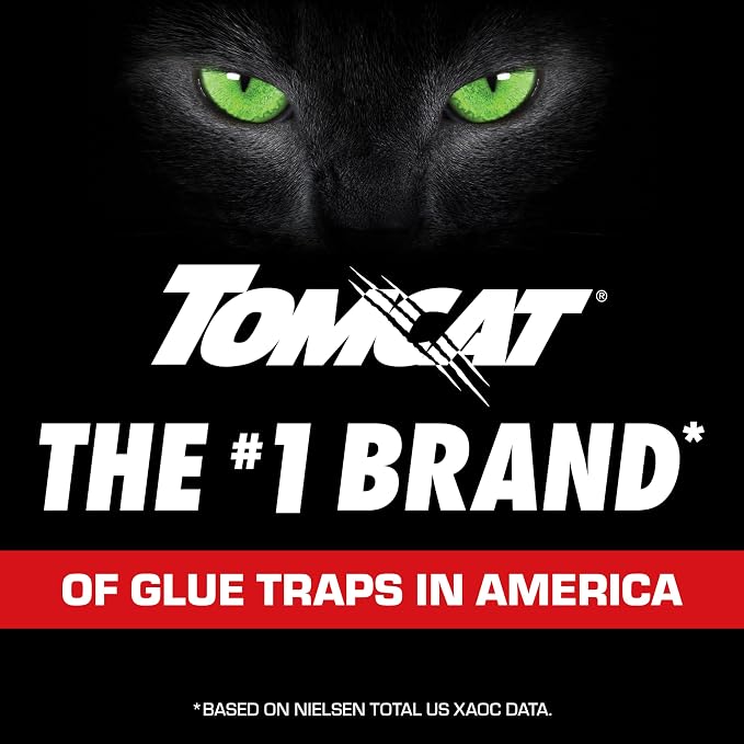 Tomcat Glue Boards with Immediate Grip Glue for Mice, Cockroaches, and Insects, Ready-to-Use, 8-Pack (32 Glue Boards)