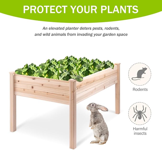 Backyard Expressions 48"x34" Raised Garden Bed - Elevated Wood Planter Box for Healthy Plant Growth, 440 lb Capacity - Natural Color