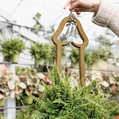 Funny Flower Pots Plant Hanger, Mr. Morningwood, Versatile Plant Hanger & Pot, Wood Penis Planter, Unique Plant Stand, Gift for Plant Lover, Perfect Home Decor and Planter Accessory for Indoor