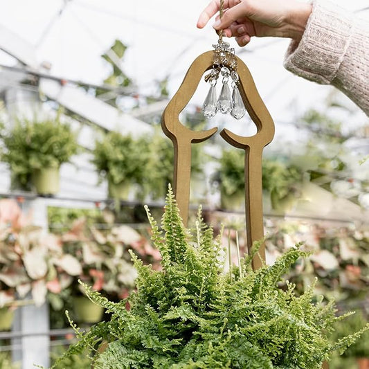 Funny Flower Pots Plant Hanger, Mr. Morningwood, Versatile Plant Hanger & Pot, Wood Penis Planter, Unique Plant Stand, Gift for Plant Lover, Perfect Home Decor and Planter Accessory for Indoor