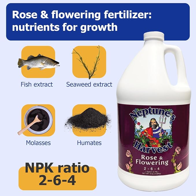 Neptune's Harvest Rose & Flowering Fertilizer (2-6-4) - 1 Gallon - Organic Liquid Rose Food for Vibrant Blooms & Growth - Promotes Healthy Foliage - Ideal Fertilizer for Indoor & Outdoor Use