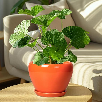 Ceramicfor Indoor Plant Pot 8 Inch - Ceramic Plant Pot with Drainage Hole and Saucer, Glaze Decorative Modern Round Planter for Outdoor Plants, Housewarming Gifts, Office Home Garden Decor, Orange