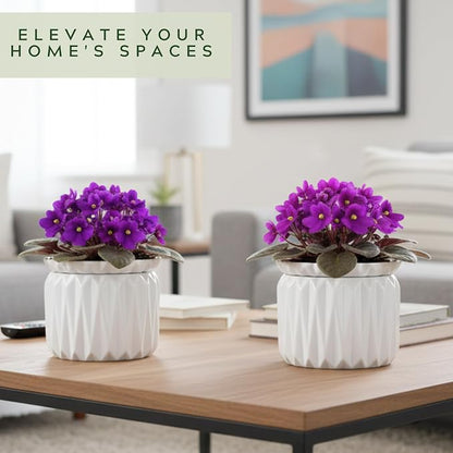 6 Inch African Violet Pots Self Watering, Ceramic Planter with Water Reservoir and Fill Lines, 4 Inch Opening, Indoor Flower Pot, Holds 3 Weeks of Water (2 Pack White)