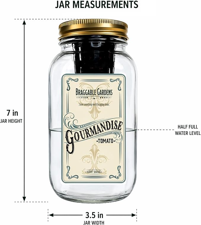 Gourmandise Yellow Cherry Tomato Indoor Garden Kit – Mason Jar Hydroponic Tomato Grow Kit – Windowsill Countertop Tomato Planter – Grow Tomatoes Indoors
