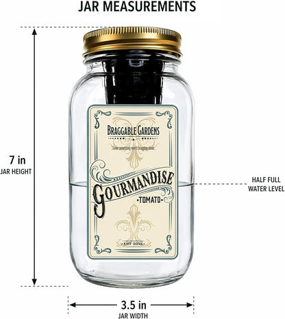 Gourmandise Yellow Cherry Tomato Indoor Garden Kit – Mason Jar Hydroponic Tomato Grow Kit – Windowsill Countertop Tomato Planter – Grow Tomatoes Indoors