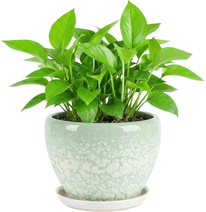 8.3 Inch Ceramic Planter with Saucer Leak-Proof Mesh &Drainage, Round Plant Pot with Gardening Gloves for Indoor Outdoor Plants (Jade Green)