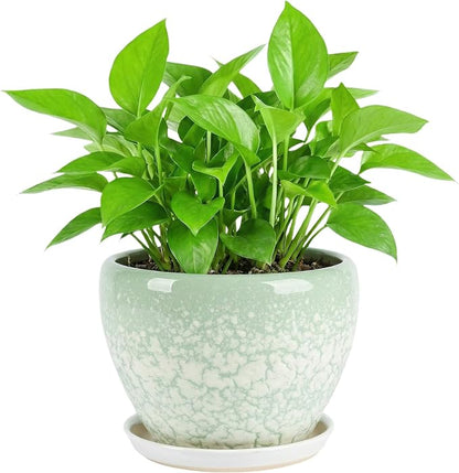 8.3 Inch Ceramic Planter with Saucer Leak-Proof Mesh &Drainage, Round Plant Pot with Gardening Gloves for Indoor Outdoor Plants (Jade Green)