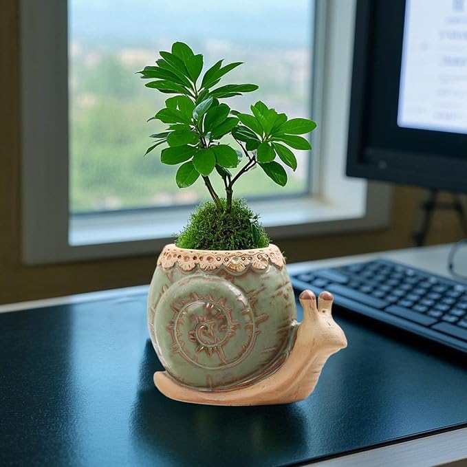 Snail Planter Small Ceramic Planter Pot Animal Planters Small Succulent Pots with Drainage Snail Decor for Living Room Room Office Desktop Decoration (Plants Not Included)