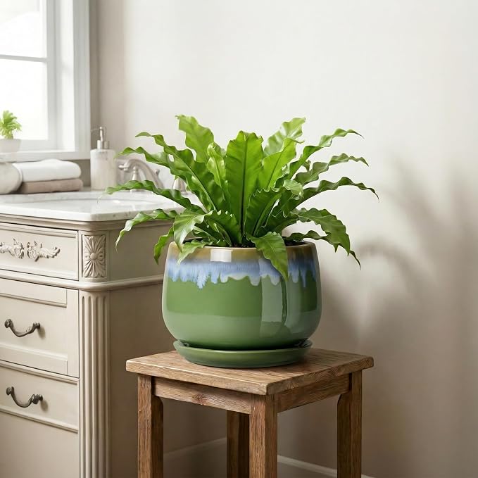 9 Inch Indoor Plant Pots - Ceramic Planters for Indoor Plants, Decorative Planter with Drainage and Saucer, Round Flower Pot, Porch Garden Office Decor, Gardening Gifts for Women, Green-Blue