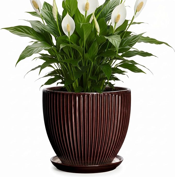 8 Inch Flower Pot, Ceramic Planters with Drainage Hole and Plant Saucer, Round Planters for Indoor Plants, Modern Plant Pot, Decorative Planter, Home Entryway Decor, Women Men Gifts, Brown