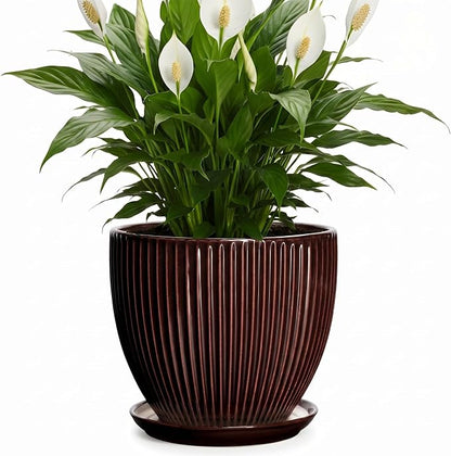 8 Inch Flower Pot, Ceramic Planters with Drainage Hole and Plant Saucer, Round Planters for Indoor Plants, Modern Plant Pot, Decorative Planter, Home Entryway Decor, Women Men Gifts, Brown