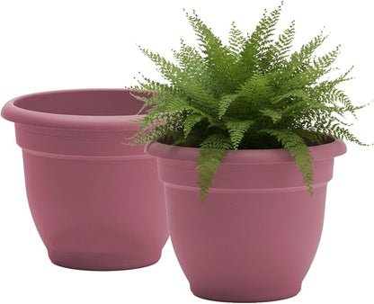 Bloem Ariana 10" Plastic Self-Watering Planter, Dusty Rose, 2-Pack | Self-watering disk at the bottom of each pot that acts as a water wick and reservoir for optimal plant health