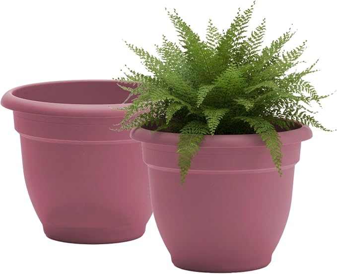 Bloem Ariana 12" Plastic Self-Watering Planter, Dusty Rose, 2-Pack | Self-watering disk at the bottom of each pot that acts as a water wick and reservoir for optimal plant health