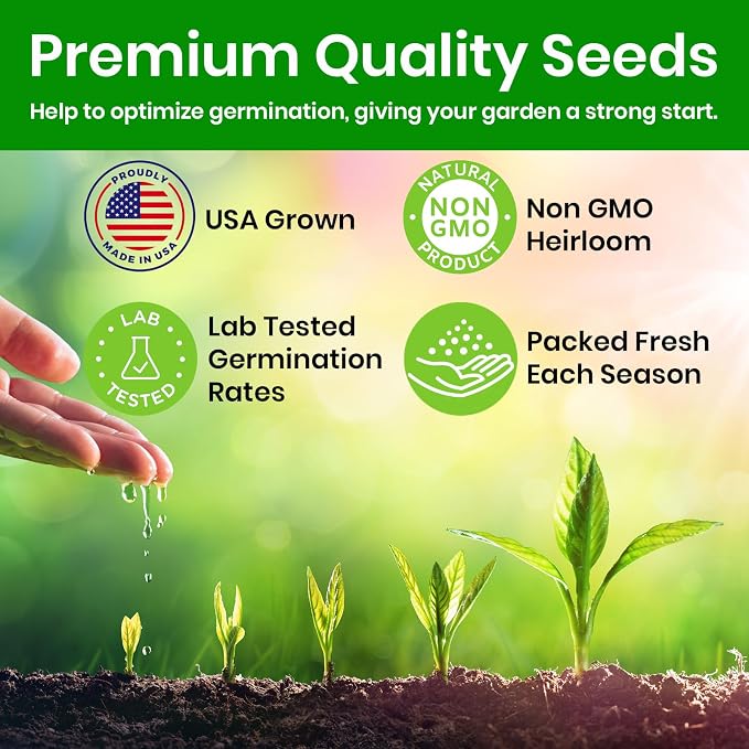 Artichoke Seeds for Planting, Green Globe Artichoke Seeds, High Germination Rates, Heirloom, Non-GMO