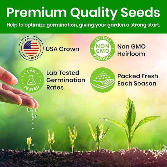 Artichoke Seeds for Planting, Green Globe Artichoke Seeds, High Germination Rates, Heirloom, Non-GMO