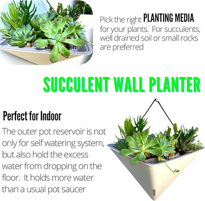 LaLaGreen Wall Planters for Indoor Plants (12in, 2 Pack) White Planter | Large Self Watering Geometric Hanging Flower Vase Vessel with Metal Hanger, Modern Stylish Wall Mounted Succulent Pot Decor