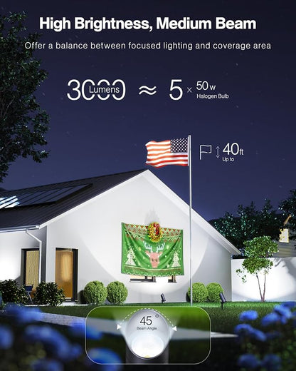 HIBOITEC 1 Pack 30W Outdoor LED Spotlight 120V 3000LM 5000K Spot Lights Waterproof Landscape Lighting for Flag Pole Tree Statue, 5.9 FT Cord with Plug