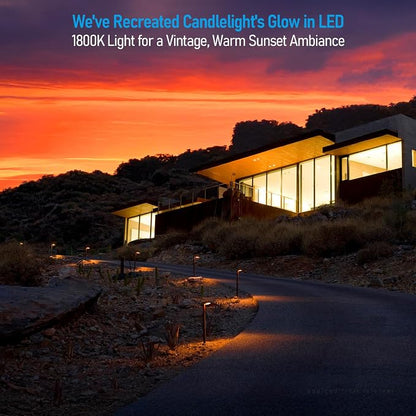 LEONLITE 12-Pack 5CCT Anti-Glare Low Voltage Pathway Lights, 12-24V AC/DC | 5W LED Landscape Path Lights, Die-Casted Aluminum, IP65 Waterproof for Yard Walkway, 1800K/2700K/3000K/4000K/5000K, ETL