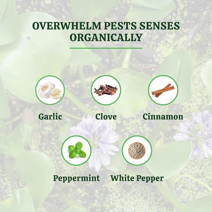 Pride Lands Defense - Organic Pest Control for Indoor & Outdoor Plants/Insect Repellent/Eliminate Mites, Gnats, Thrips, & Aphids/Safe for Pets & Children/Vegetable & Flowering Gardens, 2lb