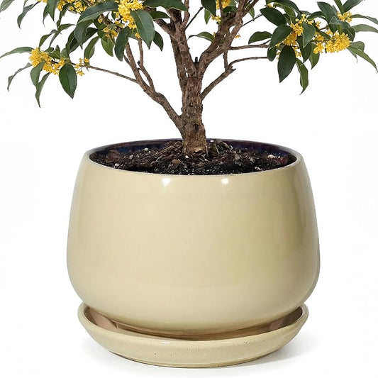 10.3 Inch Ceramic Planter with Saucer,Modern Garden Pots with Drainage Hole Mesh Net, for Indoor Outdoor Use (Pink Yellow)