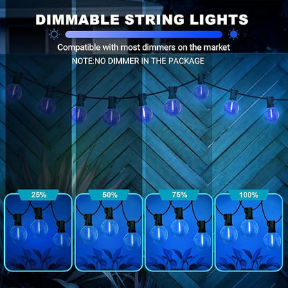 LAMPHOME 2PACK LED Outdoor String Lights, 26ft Patio Lights with 12+1 Edison Shatterproof Bulbs(1 Spare), UL Waterproof Connectable Dimmable Outside Lights for Backyard Porch Deck Garden Decor, Blue