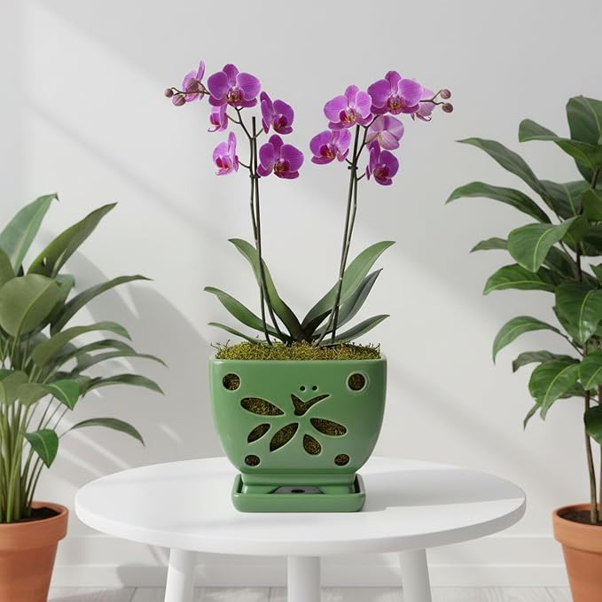 Orchid Pots with Holes Square Ceramic Orchid Planter Pots 5.5 inch (Green)