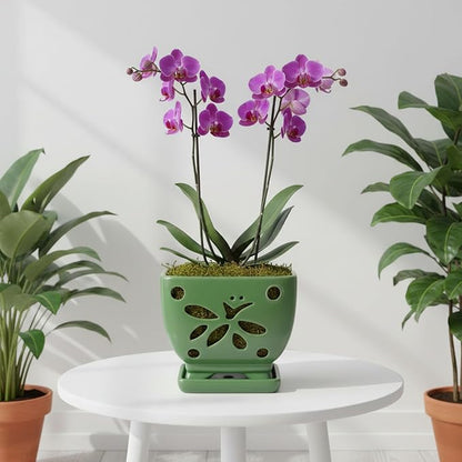 Orchid Pots with Holes Square Ceramic Orchid Planter Pots 5.5 inch (Green)
