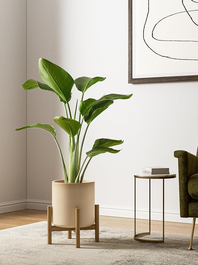 LE TAUCI 10+8+6 Inch Ceramic Pots for Plants, Indoor Planters with Drainage Hole and Plug, Modern Cylinder Flower Pots Set of 3 for Living Room and Bedroom, Glossy, Sand Beige