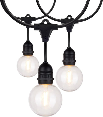 Satco S8034 LED Indoor/Outdoor String Lights, Black, G25 Bulbs, 24 Feet (Pack of 1)