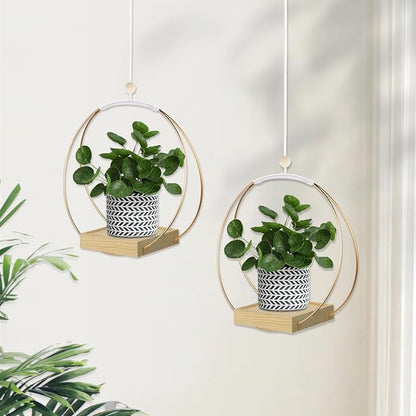 hismocal Hanging Planter for Indoor Plants, Plant Hanger with Sturdy Wood Base,Modern Boho Macrame Plant Hanger,Wall Ceiling Window Stands(Plants/Pots Not Included)