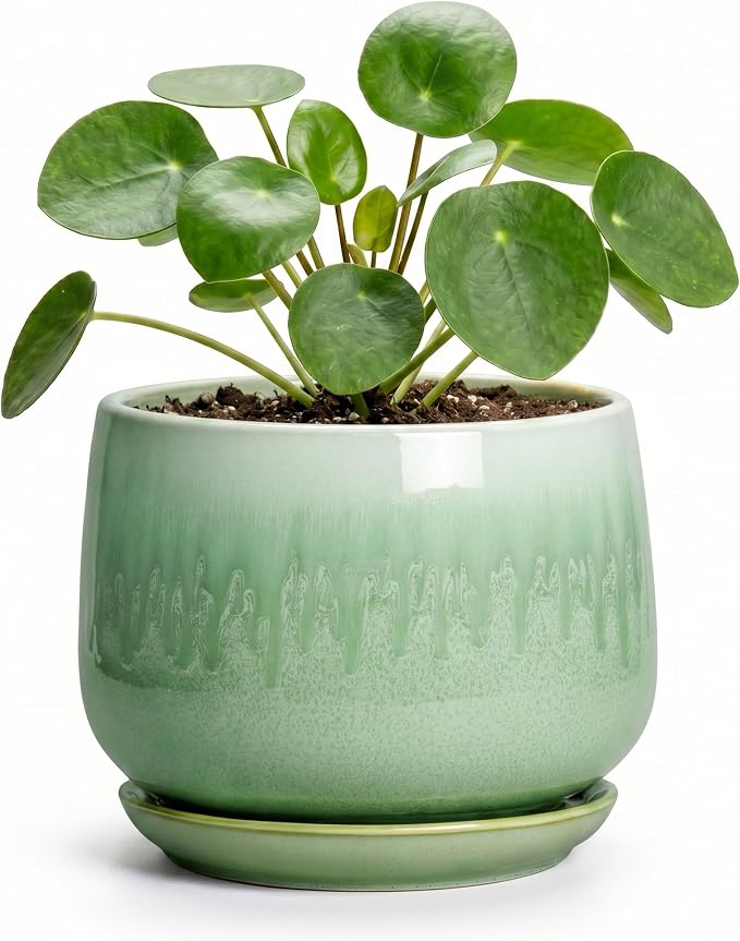 Ceramic Plant Pots - 4 Inch Pots for Plants with Drainage Hole and Saucer, Small Succulent Pot for Indoor Plants, Round Ceramic Planter, Home Office Decor, House Warming Gifts, Green