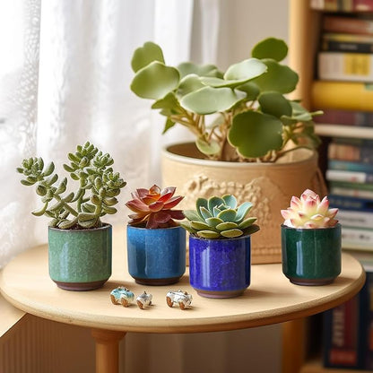 T4U 2.5 Inch Small Ceramic Succulent Planter Pot with Drainage Hole Set of 6, Ice Crack Glaze Plant Container for Cactus, Succulent Plant Gifts for Women Mom Aunt Home Office Decor