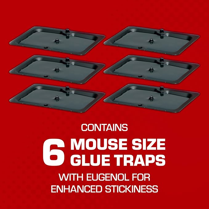 Tomcat Glue Traps Mouse Size with Eugenol for Enhanced Stickiness, 6 Traps | Sticky Pads For Mice, Cockroaches, and Spiders