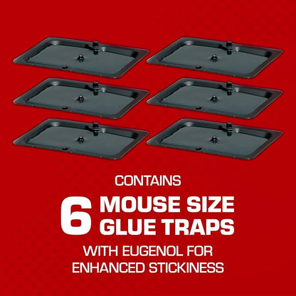 Tomcat Glue Traps Mouse Size with Eugenol for Enhanced Stickiness, 6 Traps | Sticky Pads For Mice, Cockroaches, and Spiders