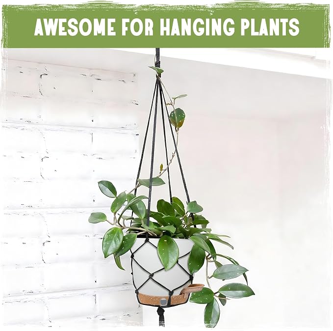 Self-Watering Pots for Indoor and Outdoor Plants 4 Pack, 6/8/10/12 Inch Planters with Water Level Indicator & Deep Reservoir, Decorative Flower Pots for Home Decor