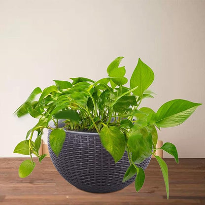 Vencer 11 Inch Round Resin Rattan Hanging Planters,Grey,VF-A15-G | Self Watering,Drain Hole,Metal Chain,Water Indicator,Indoor Outdoor