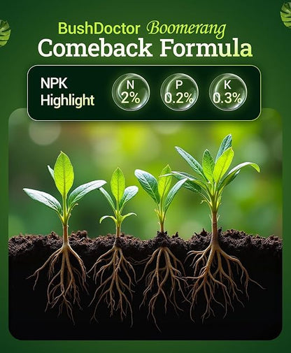 FoxFarm Bush Doctor Boomerang - 2-0.2-0.3 Comeback Formula - Microbial-Based Liquid Plant Fertilizer for Root Zone Support, Immediate Nutrient Uptake - Helps Plants Recover from Abiotic Stress-1 Quart